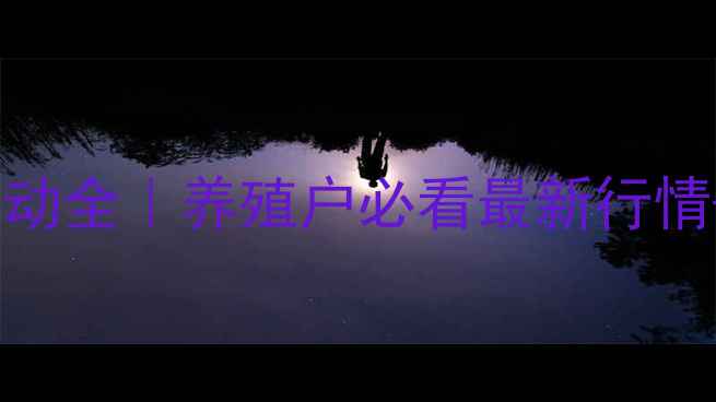 图片 🔥周口鸡蛋价格波动全｜养殖户必看最新行情+未来趋势预测🥚1