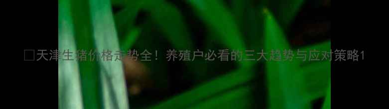 图片 🔥天津生猪价格走势全！养殖户必看的三大趋势与应对策略1