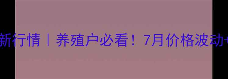 图片 🔥如皋生猪价格最新行情｜养殖户必看！7月价格波动+未来趋势预测💰📊