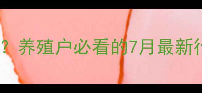 图片 🔥安徽毛猪价格今日多少钱一公斤？养殖户必看的7月最新行情+养殖技巧，附养殖户真实反馈