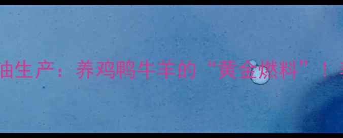 图片 🔥山东潍坊饲料用油生产：养鸡鸭牛羊的“黄金燃料”！养殖户必看全攻略2