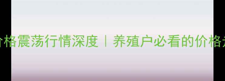 图片 🔥山东诸城肥猪价格震荡行情深度｜养殖户必看的价格走势与生存指南💼