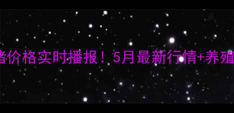 图片 🔥徐州丰县生猪价格实时播报！5月最新行情+养殖户避坑指南💡1