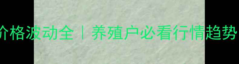 图片 🔥最新肉鸡苗价格波动全｜养殖户必看行情趋势与避坑指南💰2