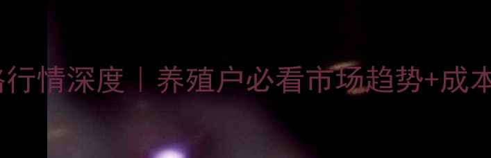 图片 🔥武汉麻鸡价格行情深度｜养殖户必看市场趋势+成本收益全攻略✨2