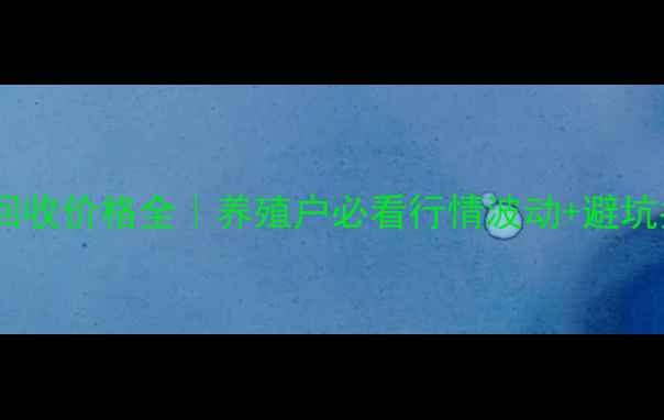 图片 🔥毛鸡回收价格全｜养殖户必看行情波动+避坑指南💰1