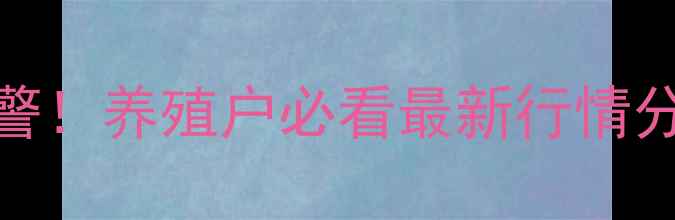 图片 🔥河北毛猪价格波动预警！养殖户必看最新行情分析（附养殖避坑指南）