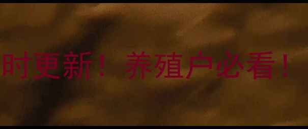 图片 🔥河北肥猪价格实时更新！养殖户必看！附价格走势分析🌾