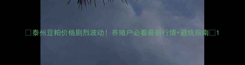 图片 🔥泰州豆粕价格剧烈波动！养殖户必看最新行情+避坑指南💰1