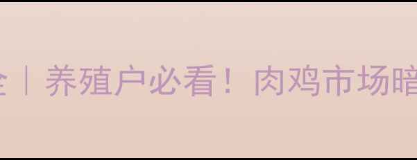 图片 🔥济南肉鸡价格波动全｜养殖户必看！肉鸡市场暗藏哪些机会与风险？1