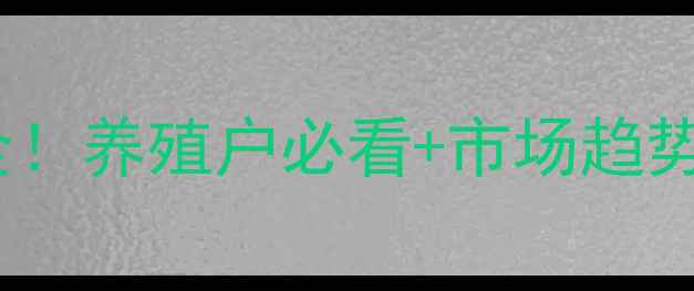 图片 🔥湛江今日猪价波动全！养殖户必看+市场趋势预测（附养殖技巧）2
