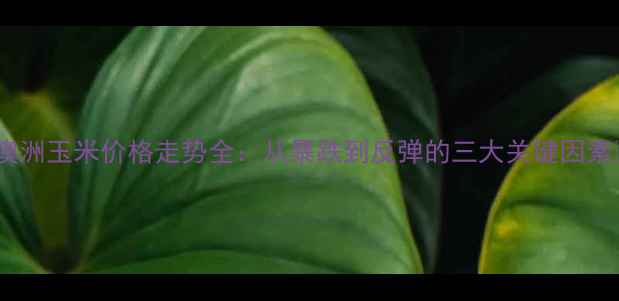 图片 🔥澳洲玉米价格走势全：从暴跌到反弹的三大关键因素💥2