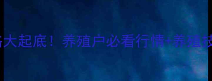图片 🔥灰貂皮价格大起底！养殖户必看行情+养殖技巧+销售攻略