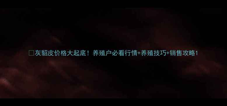 图片 🔥灰貂皮价格大起底！养殖户必看行情+养殖技巧+销售攻略1