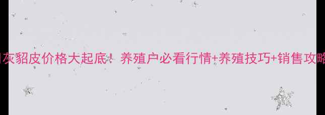 图片 🔥灰貂皮价格大起底！养殖户必看行情+养殖技巧+销售攻略2