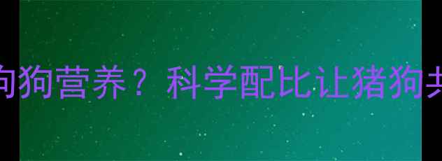图片 🔥猪饲料配方加狗狗营养？科学配比让猪狗共享的可行性！🔥