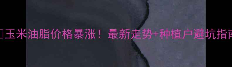 图片 🔥玉米油脂价格暴涨！最新走势+种植户避坑指南