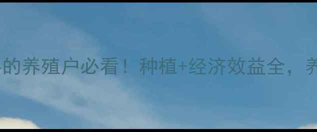 图片 🔥甜菜作为高营养饲料的养殖户必看！种植+经济效益全，养牛羊鸡鸭都适用💰🌱1