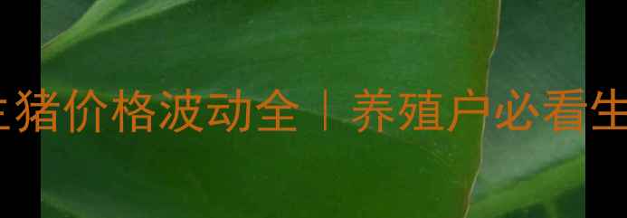 图片 🔥石家庄生猪价格波动全｜养殖户必看生存指南💸2