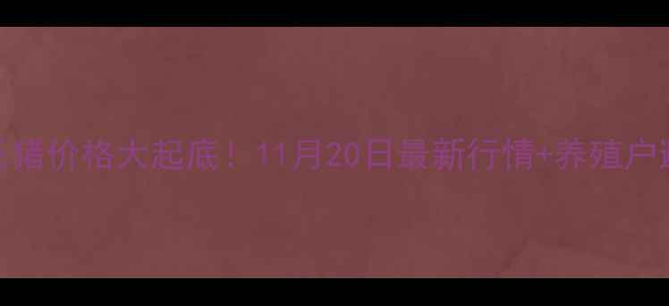 图片 🔥福建毛猪价格大起底！11月20日最新行情+养殖户避坑指南