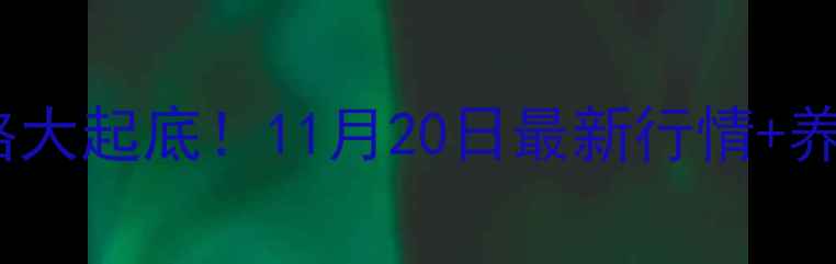 图片 🔥福建毛猪价格大起底！11月20日最新行情+养殖户避坑指南2