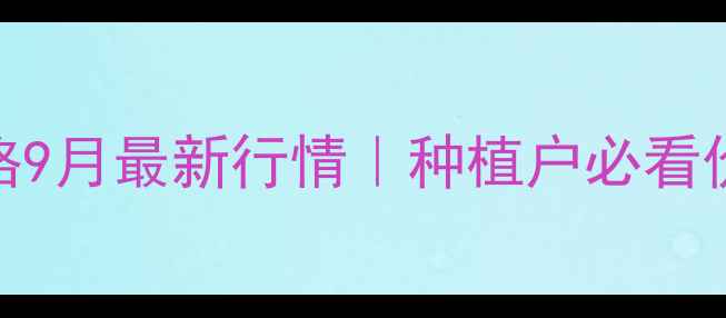 图片 🔥绥化玉米潮粮价格9月最新行情｜种植户必看价格表+市场分析🔥1