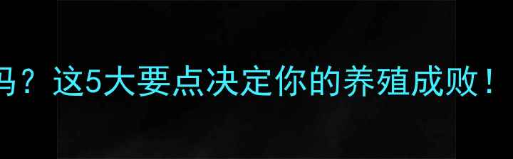 图片 🔥羊可以喂牛饲料吗？这5大要点决定你的养殖成败！附科学配比方案🐑1