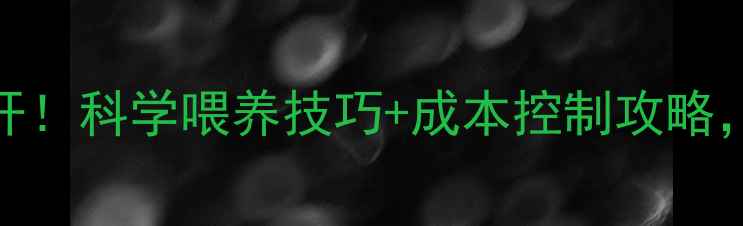 图片 🔥羊饲料配方大公开！科学喂养技巧+成本控制攻略，养羊户必看！🐑🔥