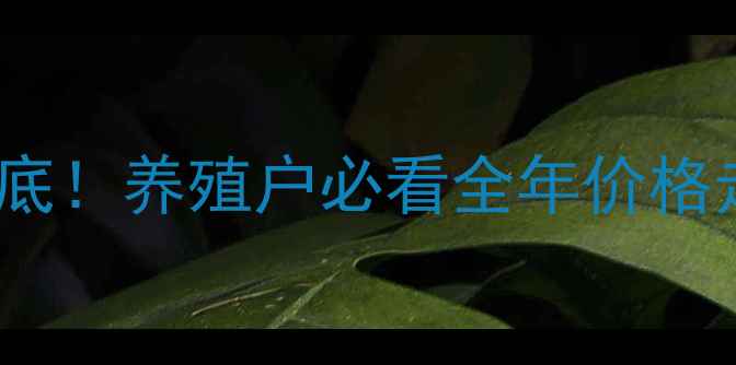 图片 🔥肉鸡价格行情大起底！养殖户必看全年价格走势+养殖避坑指南📈
