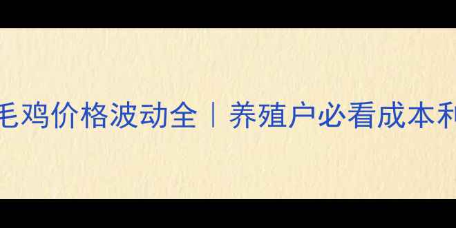 图片 🔥肉鸡苗&毛鸡价格波动全｜养殖户必看成本利润指南💰1