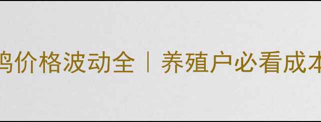 图片 🔥肉鸡苗&毛鸡价格波动全｜养殖户必看成本利润指南💰2