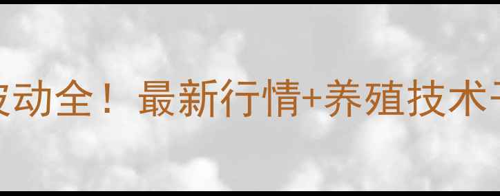 图片 🔥菏泽白鲢鱼价格波动全！最新行情+养殖技术干货，养殖户必看！