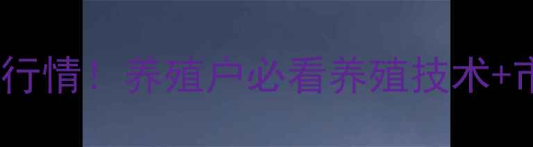 图片 🔥静宁生猪价格最新行情！养殖户必看养殖技术+市场分析+行情预测🔥