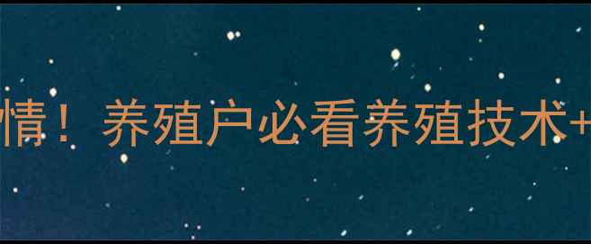 图片 🔥静宁生猪价格最新行情！养殖户必看养殖技术+市场分析+行情预测🔥1