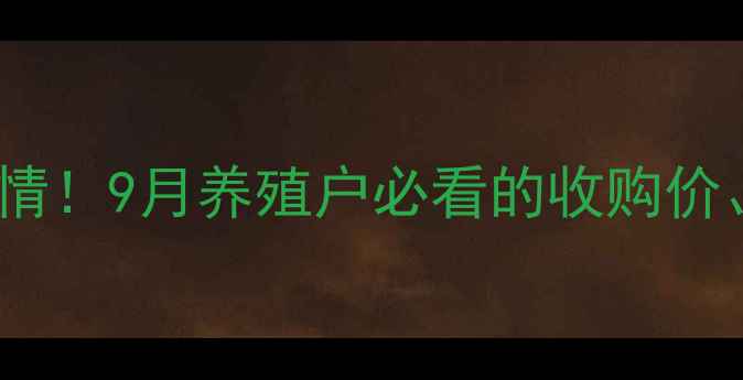 图片 🔥黄山市毛猪价格最新行情！9月养殖户必看的收购价、市场趋势与养殖建议🔥1
