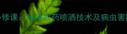芒果种植必修课科学农药喷洒技术及病虫害防治全攻略