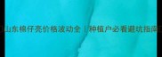 山东棉仔亮价格波动全种植户必看避坑指南