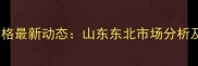 玉峰集团玉米价格最新动态山东东北市场分析及未来趋势预测