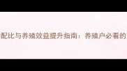 肉鸡浓缩饲料科学配比与养殖效益提升指南养殖户必看的高效饲料解决方案