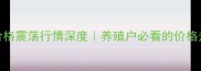 山东诸城肥猪价格震荡行情深度养殖户必看的价格走势与生存指南