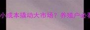 长春饲料厂如何用小成本撬动大市场养殖户必看的降本增效指南