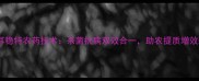 德国拜耳稳特农药技术杀菌抗病双效合一助农提质增效新方案