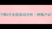 玉米碎价格行情8月全国波动分析种植户必看采购指南