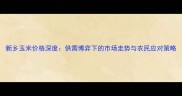 新乡玉米价格深度供需博弈下的市场走势与农民应对策略