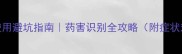 农药使用避坑指南药害识别全攻略附症状对照表