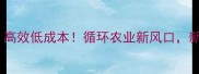 迷你饲料昆虫养殖高效低成本循环农业新风口新手也能轻松上手
