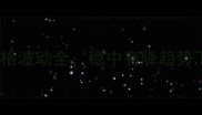 8月蚌埠市生猪价格波动全稳中有降趋势下养殖户应对策略