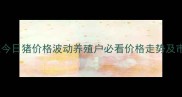 湖北恩施今日猪价格波动养殖户必看价格走势及市场预测