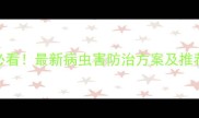 萝卜种植必看最新病虫害防治方案及推荐农药清单
