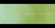 山东二甲戊灵使用全攻略小麦田除草这样做省时省力效果翻倍